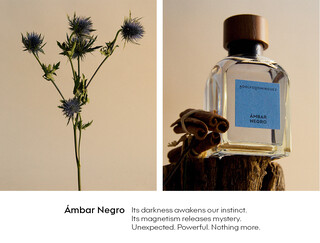 ÁMBAR NEGRO