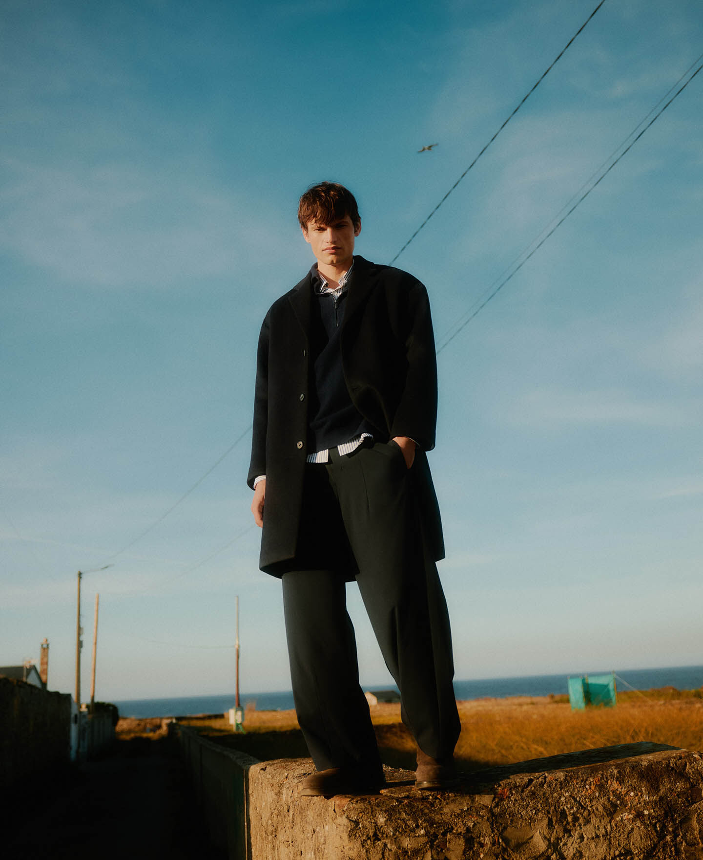 アドルフォ・ドミンゲス | 公式オンラインショップ