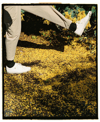 ZAPATILLA BÁSICA EN PIEL BLANCA