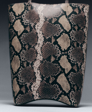 Ori&oacute;n snake-embossed vertical hobo bag