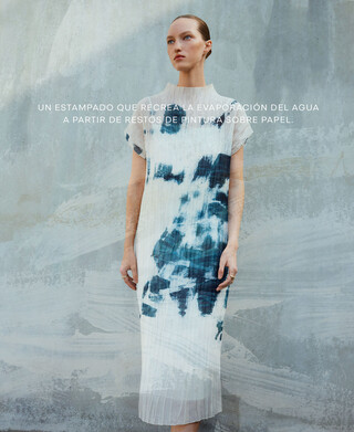 Image for concept Charca