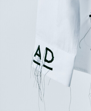 INSPIRES INSPIRES