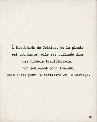 Image without a name