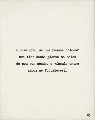 Image without a name