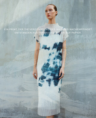 Image for concept Charca