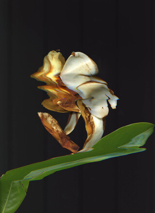 Image without a name