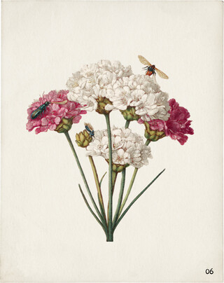 Image without a name