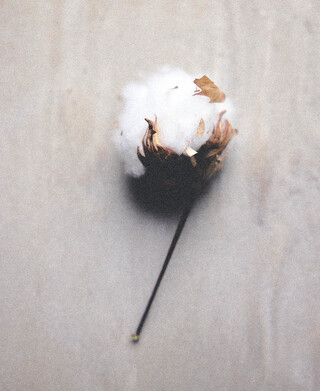 Image without a name