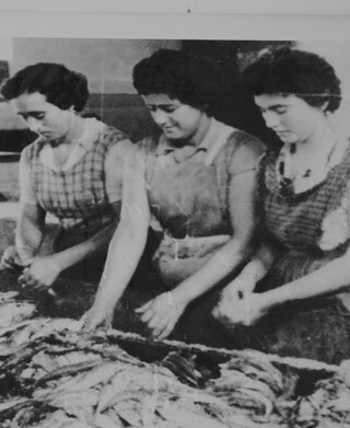 Image without a name 