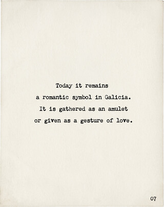 Image without a name