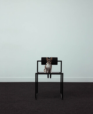 Image without a name Image without a name