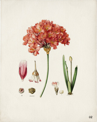 Image without a name