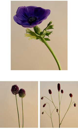 Image without a name 