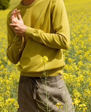 Organic cotton regular fit knit sweater