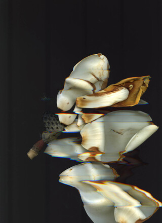 Image without a name