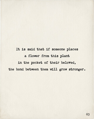 Image without a name