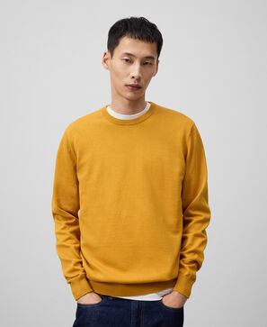 Regular fit crew collar sweater man