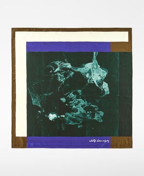 Silk printed maxi scarf woman