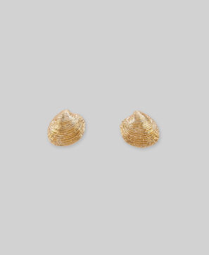 Metal shell earrings woman