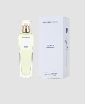 Perfume Terracota Musk