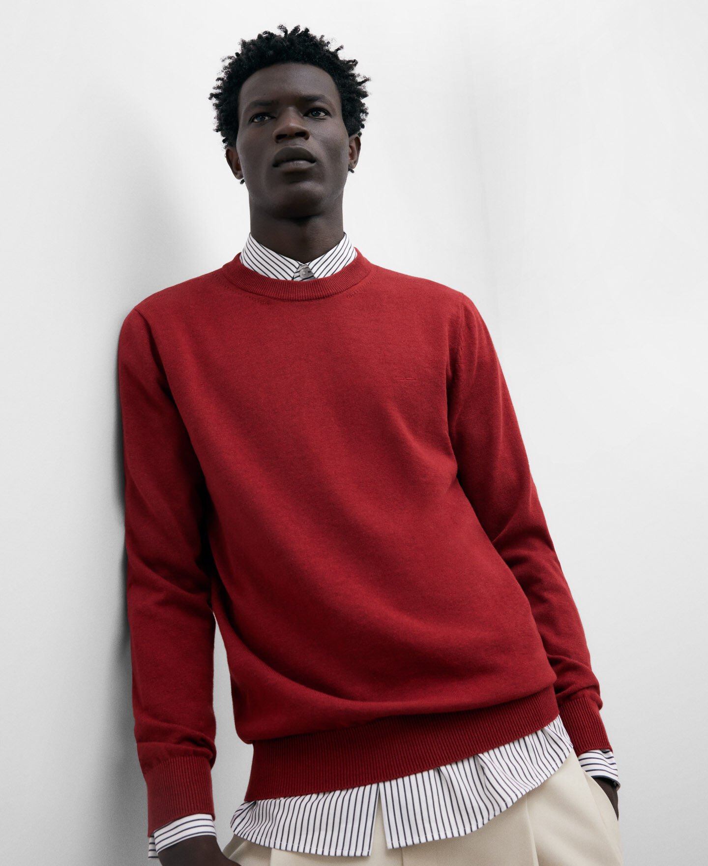 Crew neck cotton sweater for men AD USA
