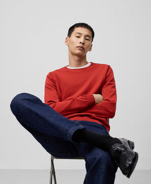 Regular fit roll neck sweater man