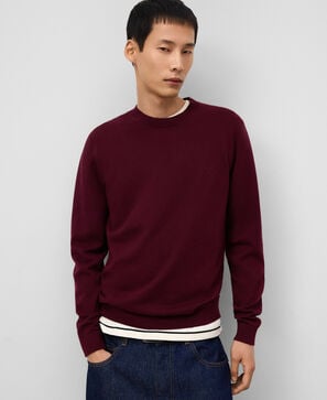 Regular fit crew collar sweater man