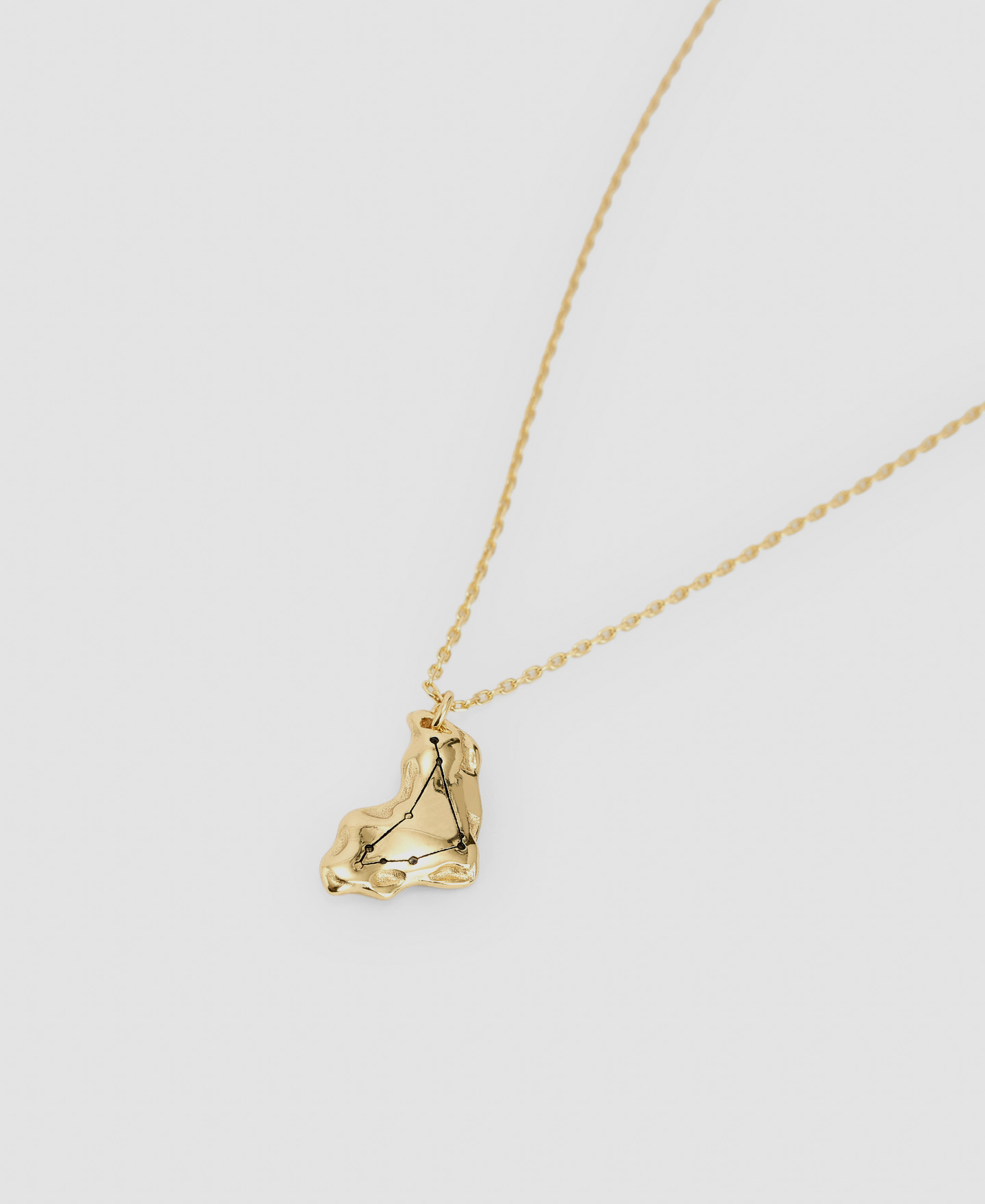 Capricorn silver pendant image number 1