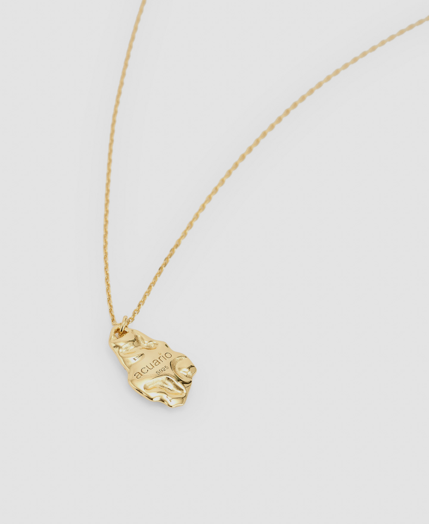 Capricorn silver pendant image number 2