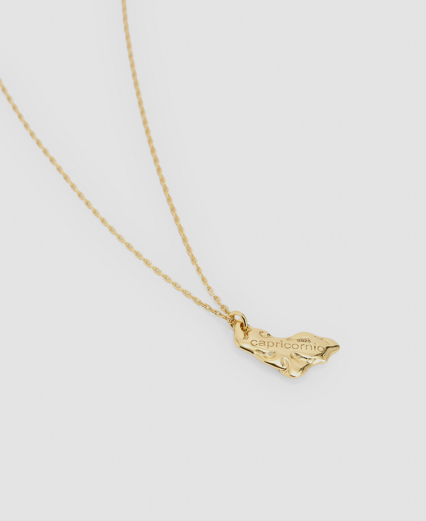 Capricorn silver pendant image number 2