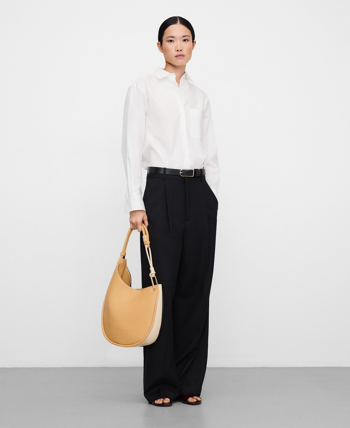 Hobo Luna tricolor image number 4