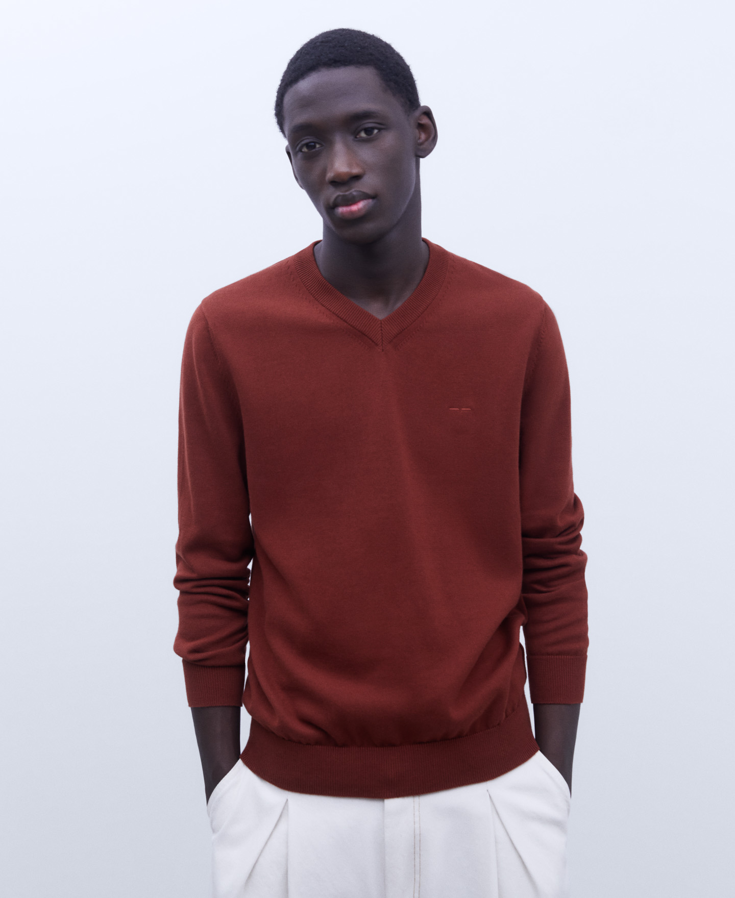 Organic cotton V-neck sweater image number 0