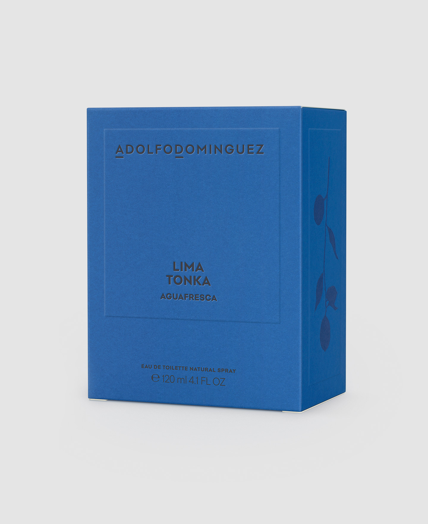Agua Fresca Lima Tonka image number 2