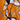 Orange Print