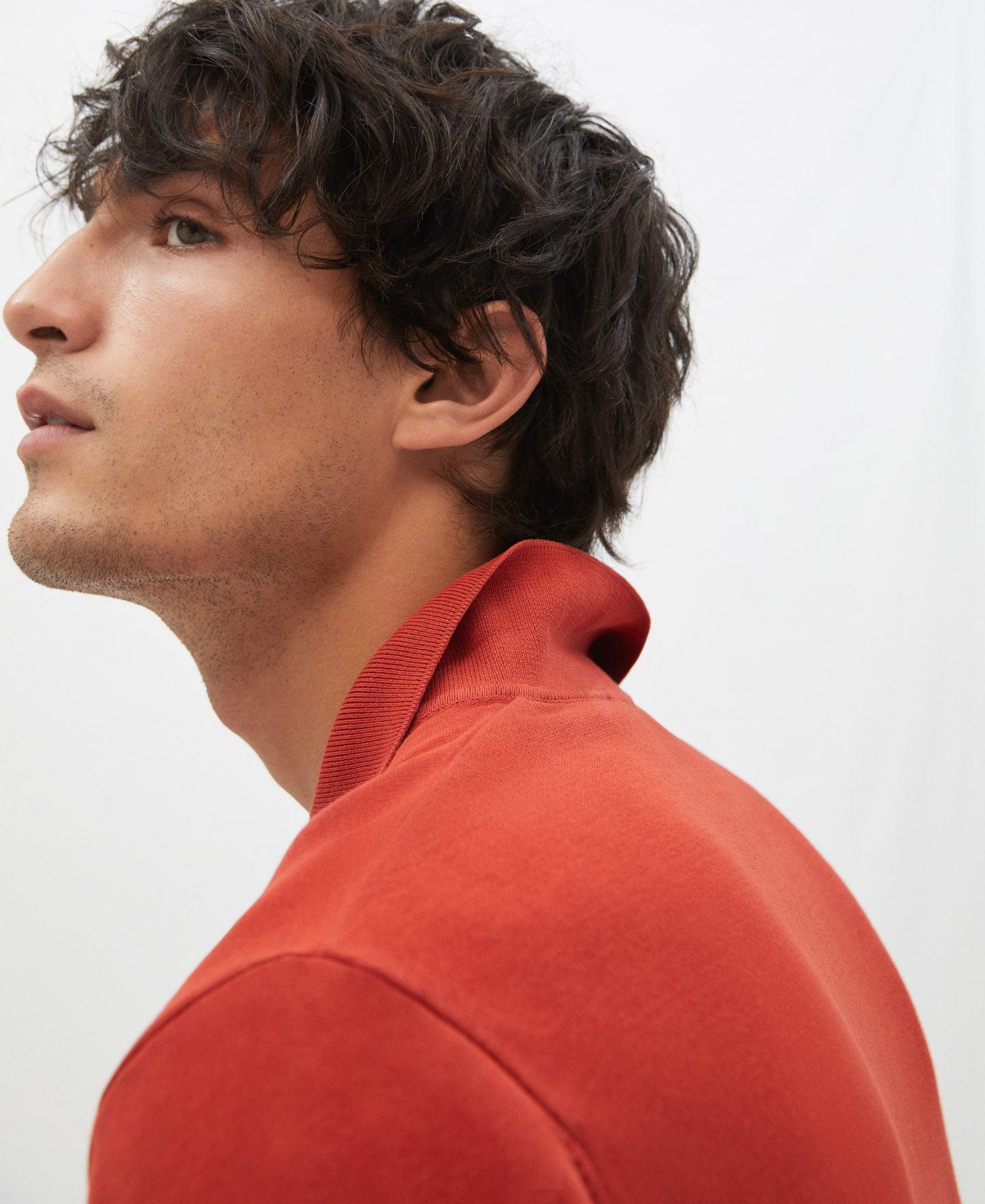 Polo image number 3