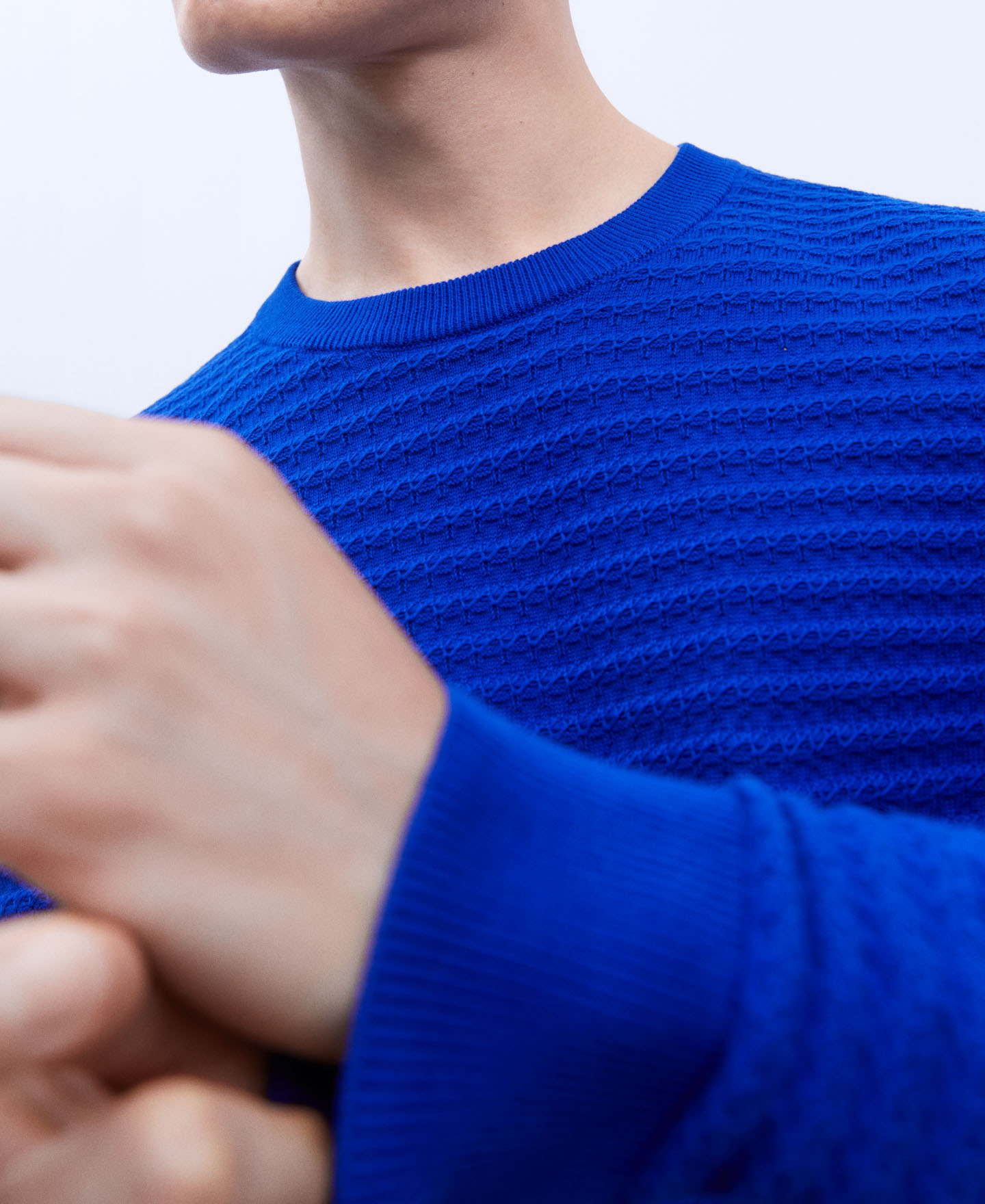 Cotton round neck sweater. image number 3