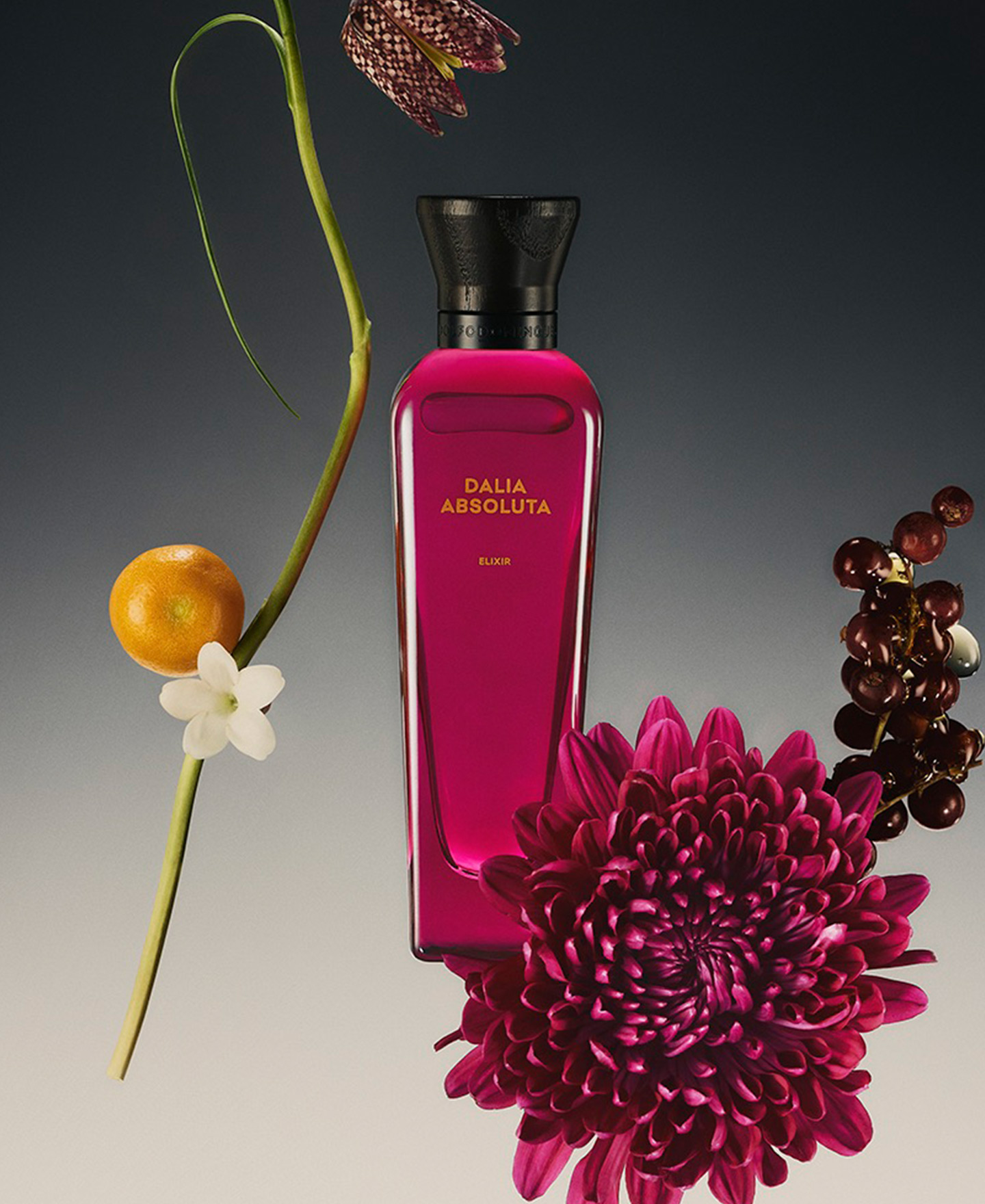 Perfume Dalia Absoluta 100 ml image number 3