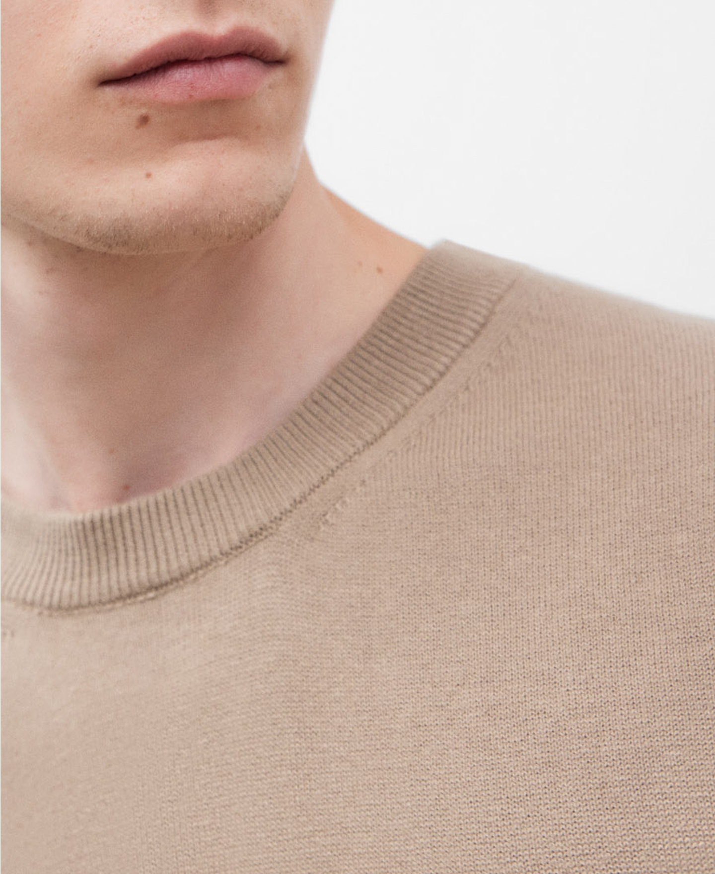 Crew neck cotton sweater for men image number 3