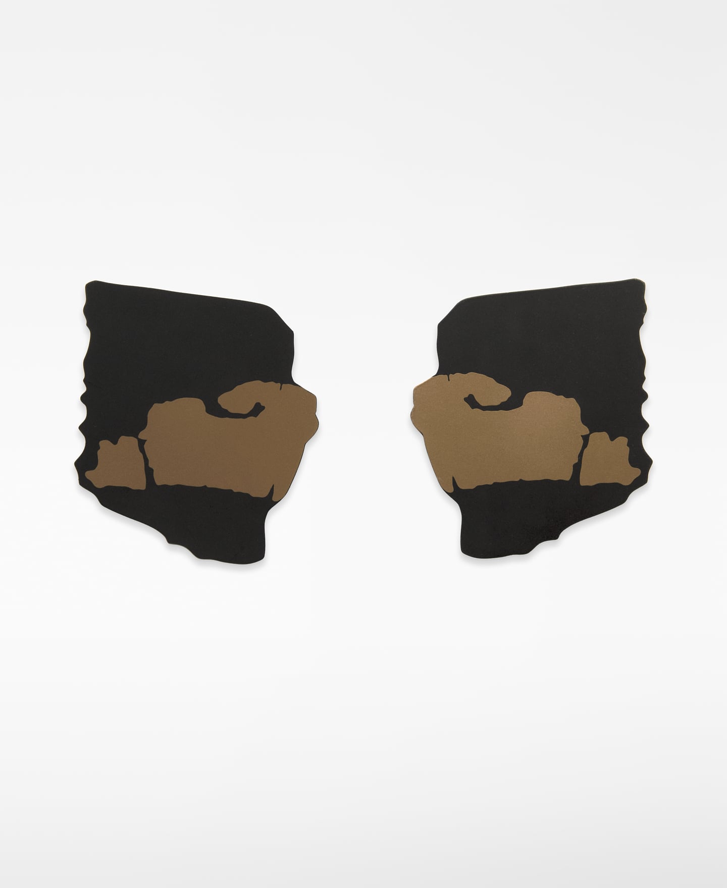 Two-tone sheet earrings image number 0