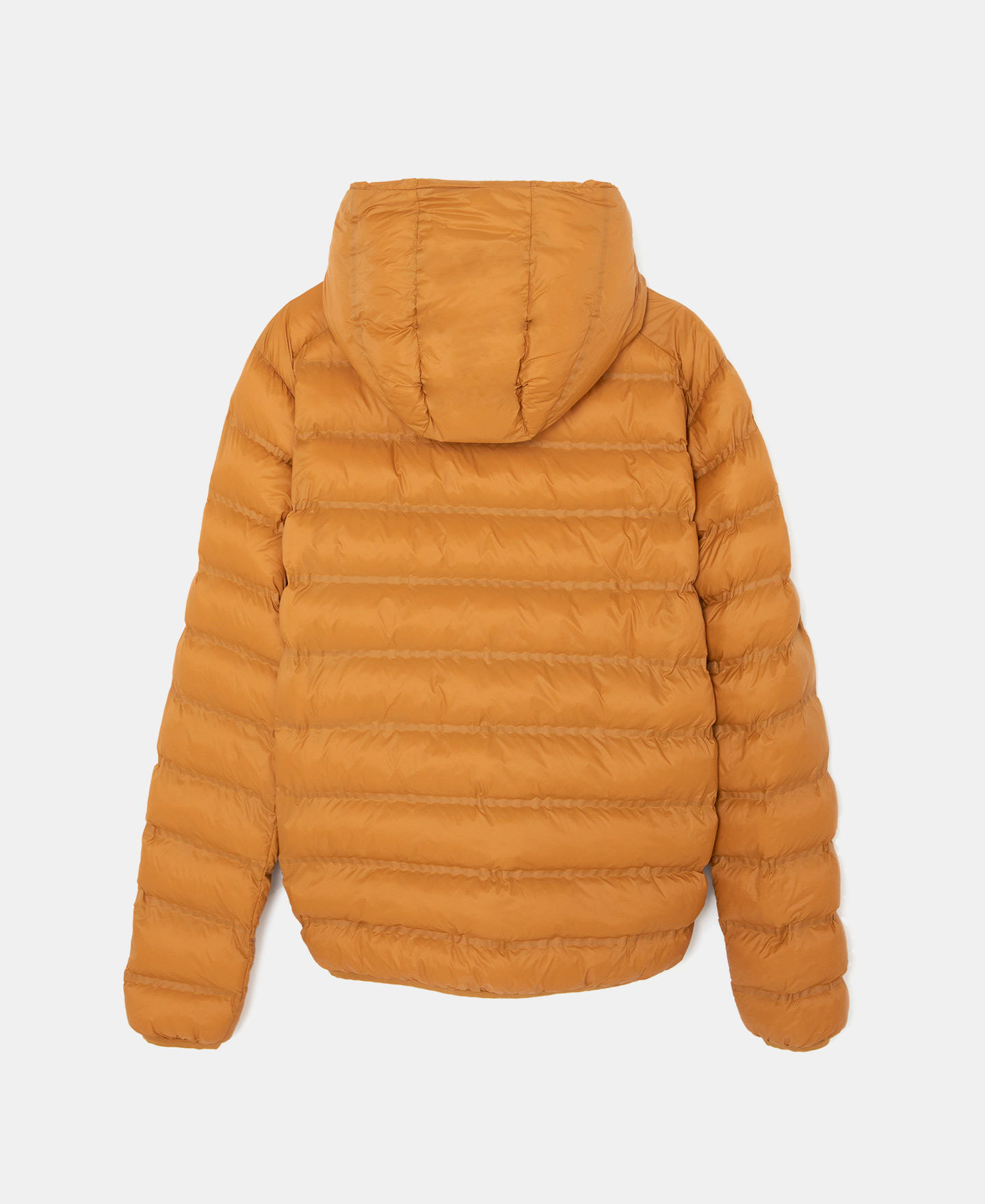 Nylon padded jacket with hood image number 5