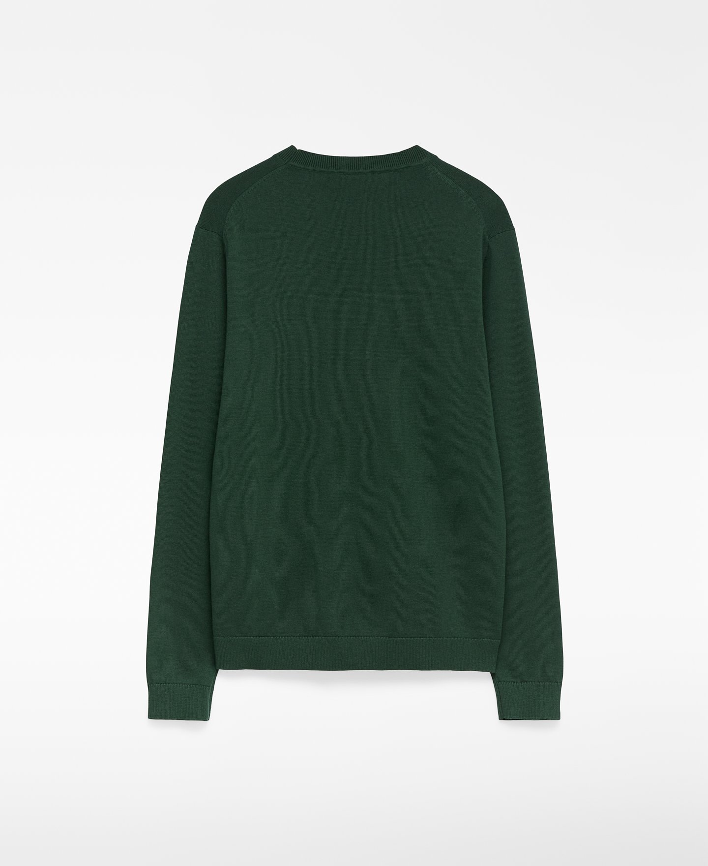 Regular fit crew collar sweater man image number 1