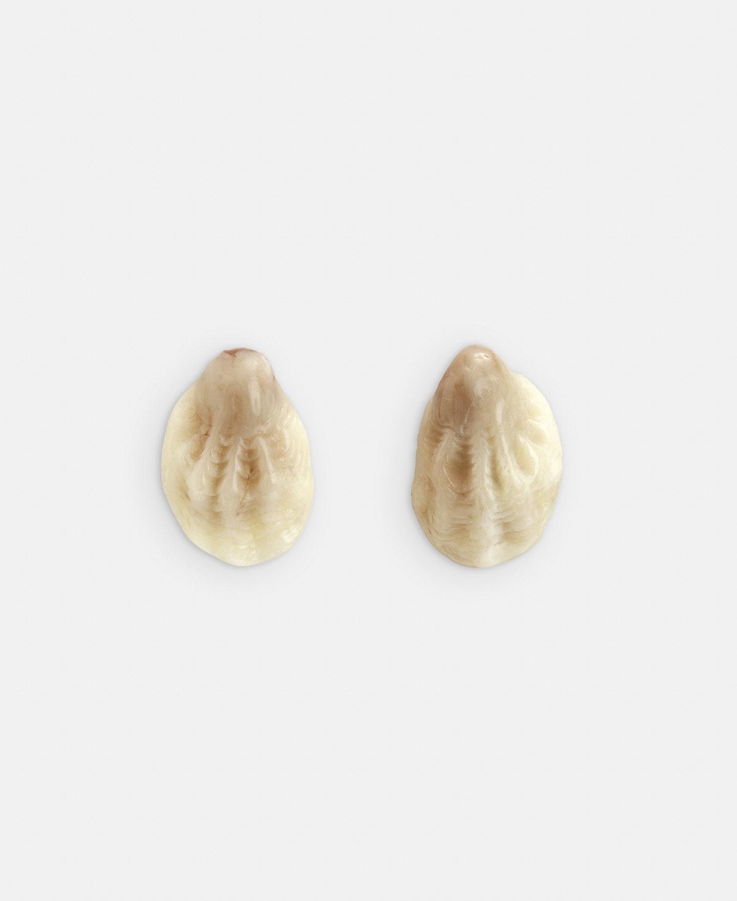 Pendientes concha en resina image number 0