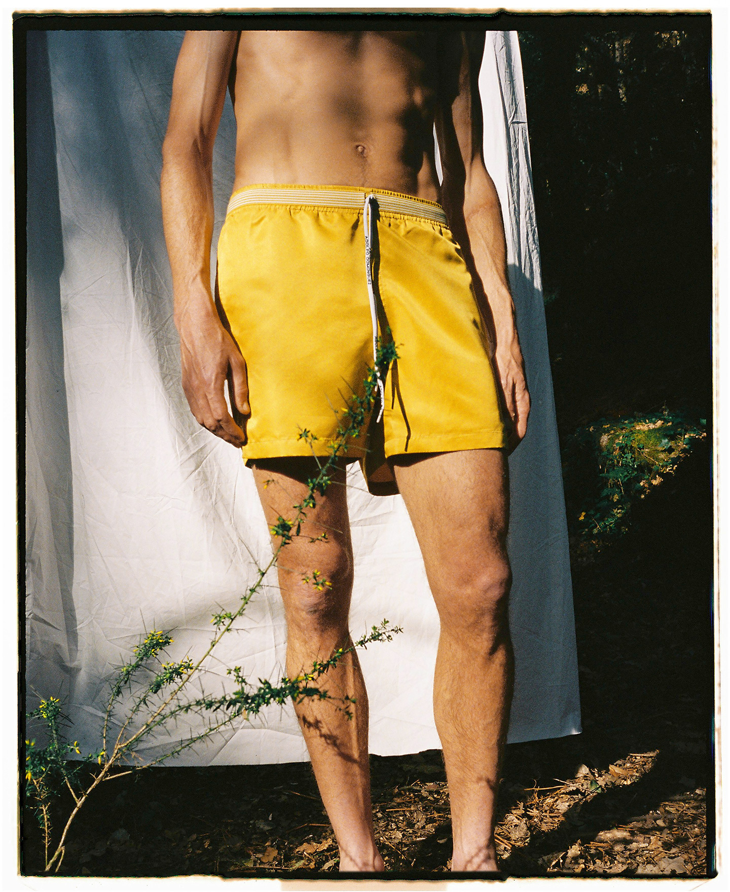 Blue swim shorts image number 2