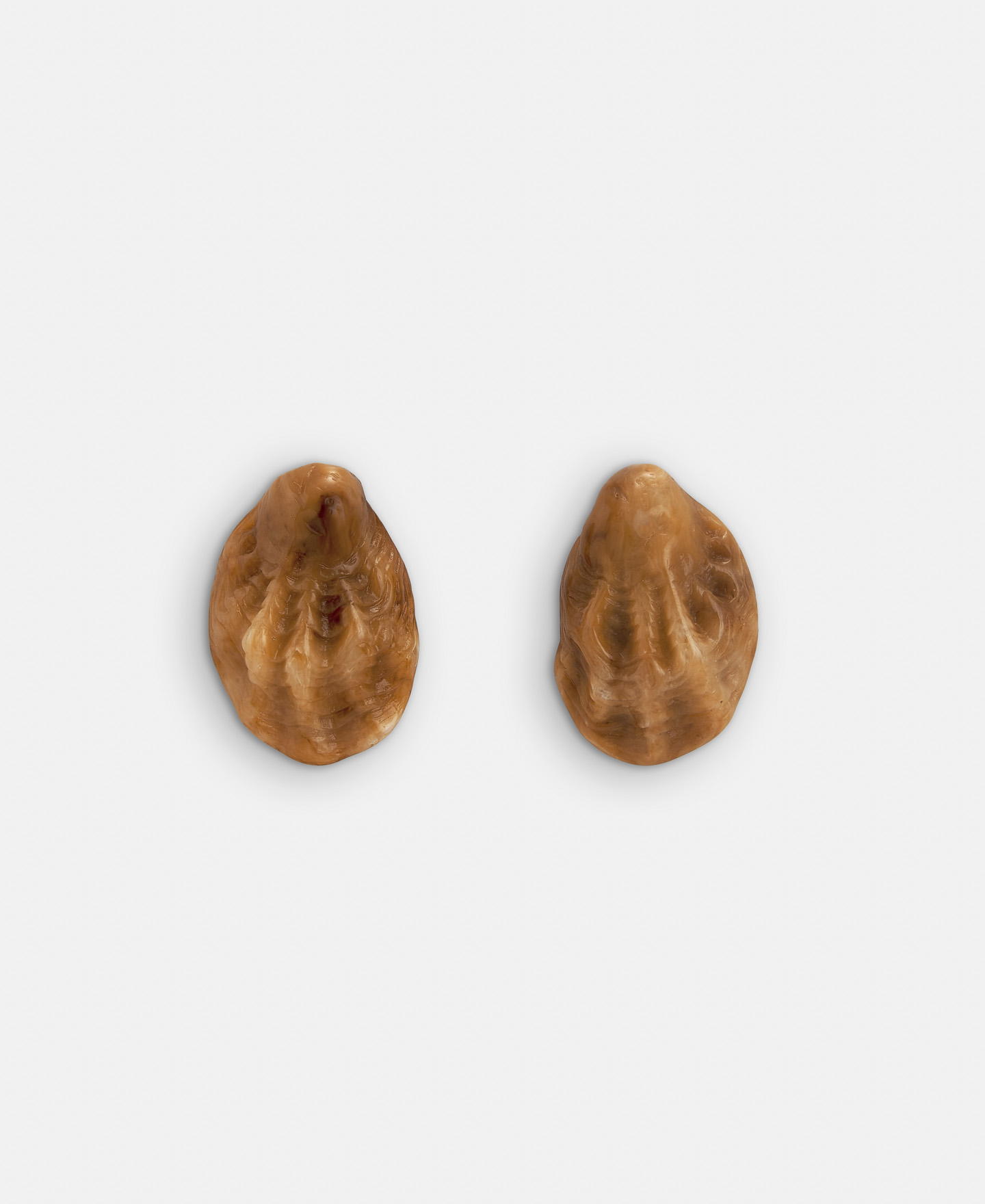 Resin shell earrings image number 0