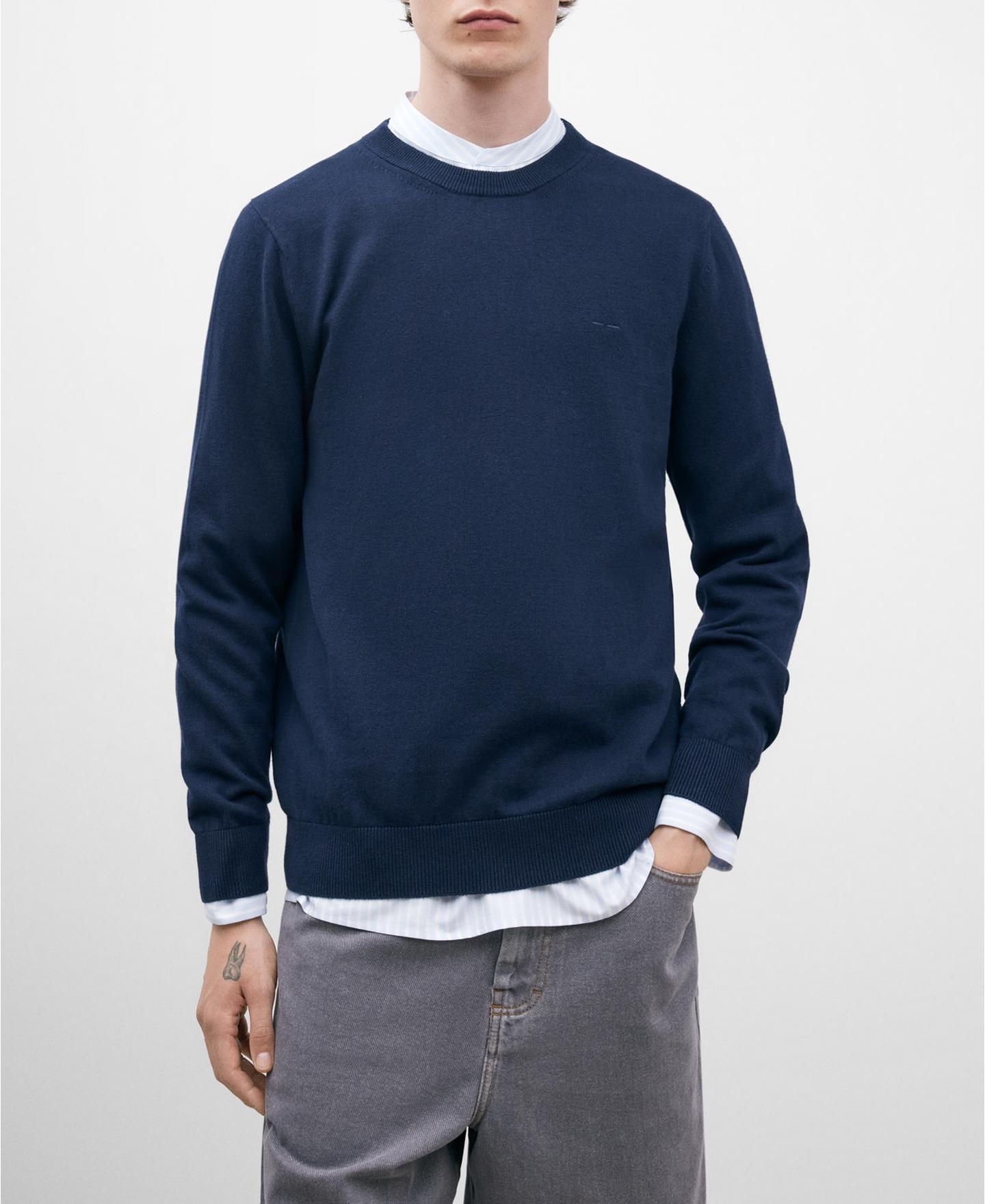 Crew neck cotton sweater for men image number 0