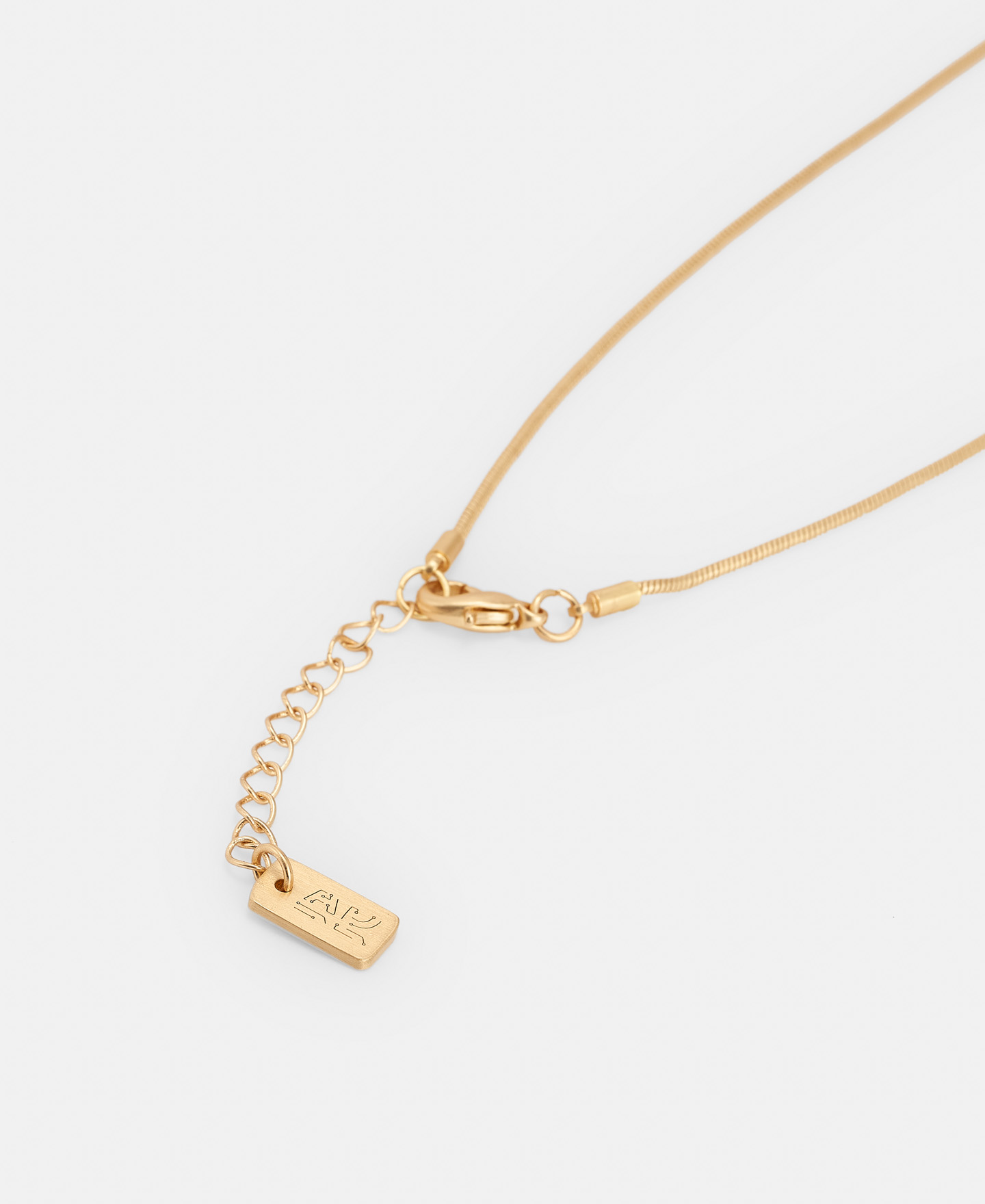Brass microchip tag necklace image number 2