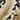 Animal print