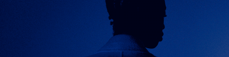 Banner de Categoría